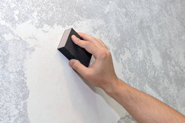 Best Mold Remediation for Healthcare Facilities  in Moose Lake, MN