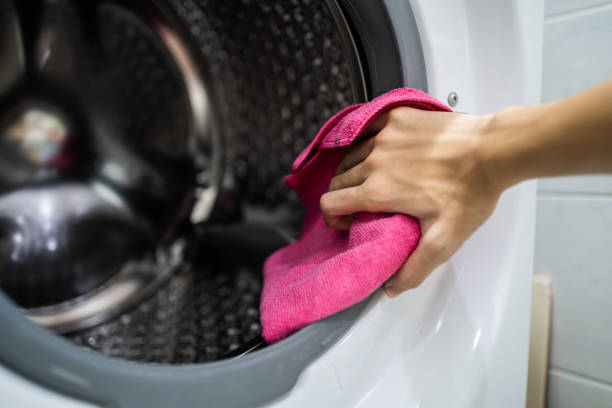 Best Dehumidification Services  in Moose Lake, MN