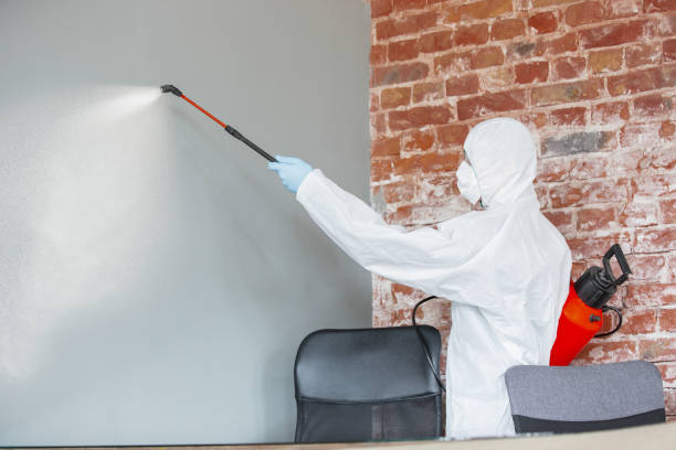 Best Forensic Mold Investigation  in Moose Lake, MN