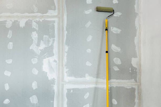 Best Mold Documentation for Insurance Claims  in Moose Lake, MN