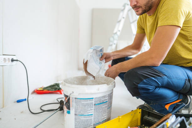 Best Attic Mold Removal  in Moose Lake, MN