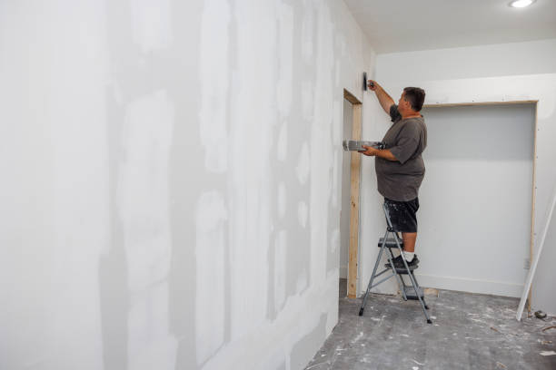 Best Water Damage & Mold Remediation  in Moose Lake, MN