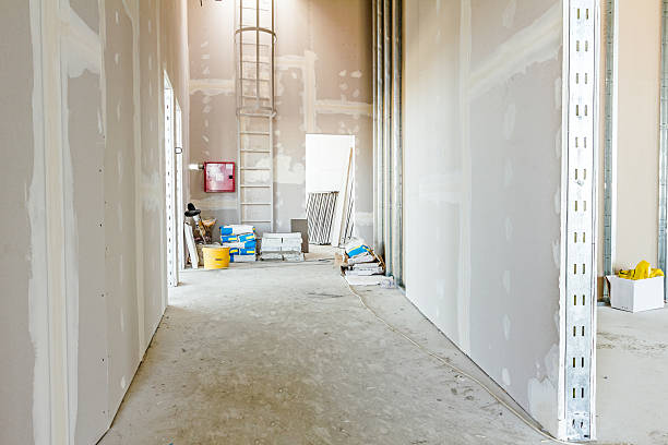 Best Post-Construction Mold Inspection  in Moose Lake, MN